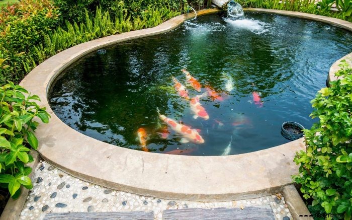 Fish pond:how to integrate it into your garden? 