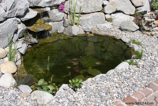 Fish pond:how to integrate it into your garden? 