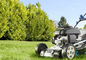 Stihl or Honda petrol lawn mower:which one to choose? 