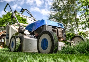 How to choose a lawn mower ? Guide, advice, models and prices! 