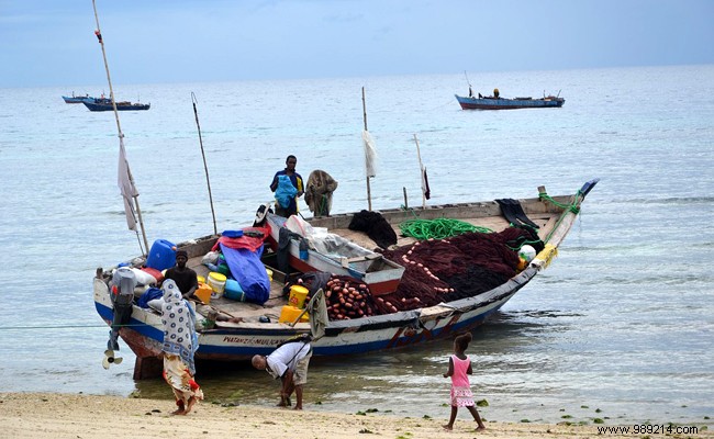 Zanzibar:why has this destination always been a dream? 