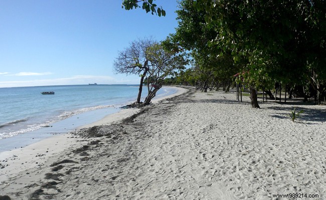 Martinique or Guadeloupe for holidays in the French West Indies? 