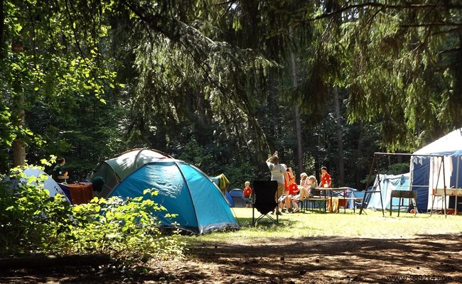 The essential kit for camping holidays! 