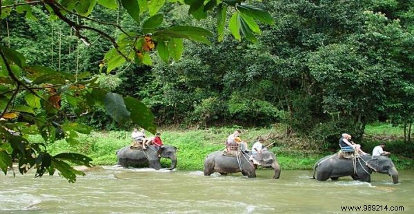 A sightseeing day in Phuket 