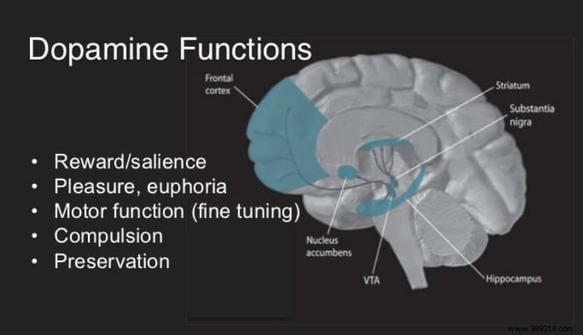 Smartphones cause addiction to dopamine, the pleasure hormone! 