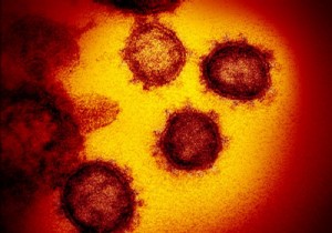 Coronavirus:a vaccine tested for the first time in humans 