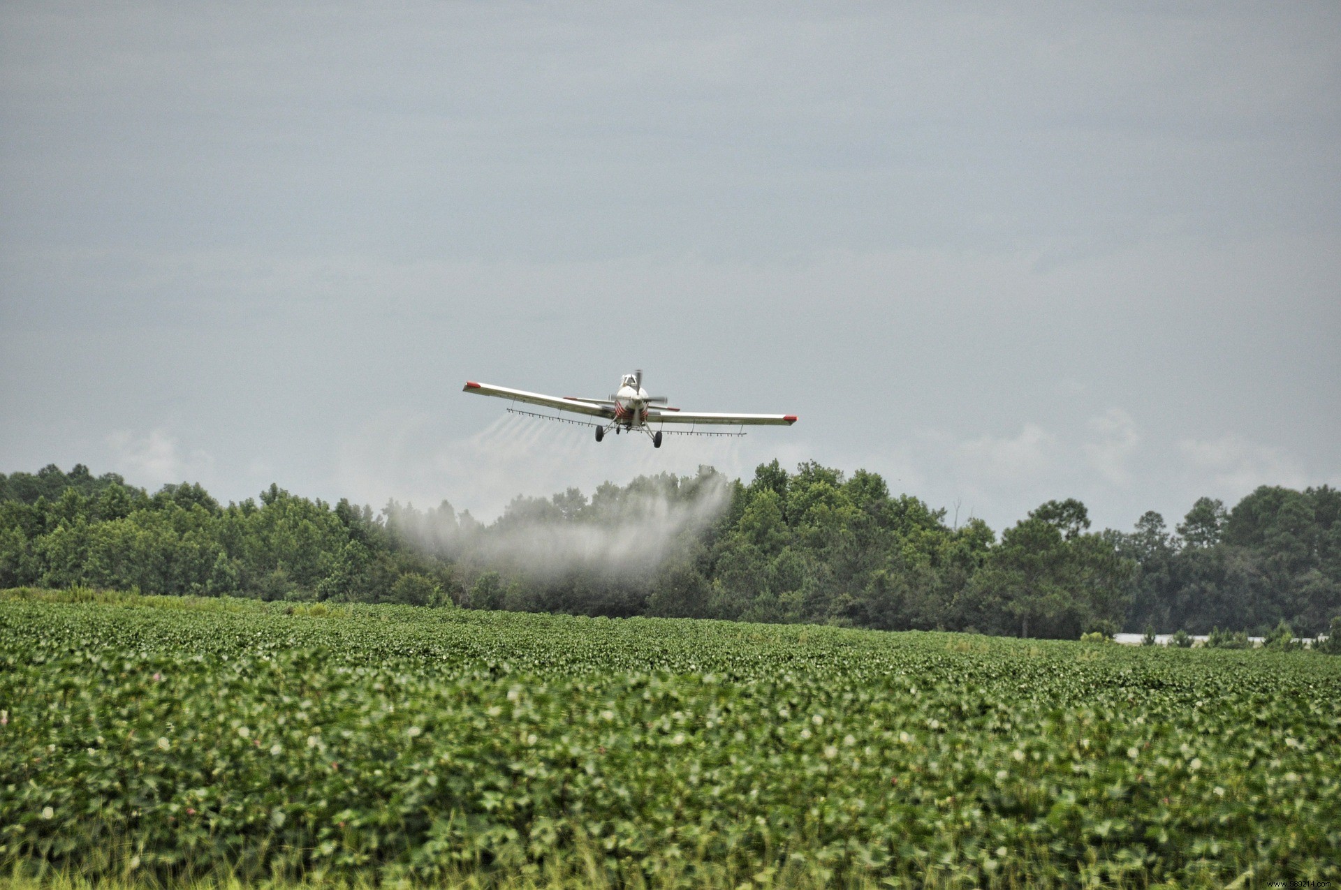 Spreading of pesticides near homes:10 NGOs seize the Council of State urgently 