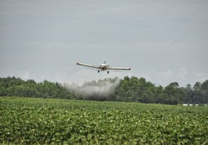 Spreading of pesticides near homes:10 NGOs seize the Council of State urgently 