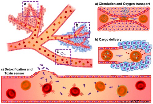 Here is the very first fully functional artificial red blood cell! 