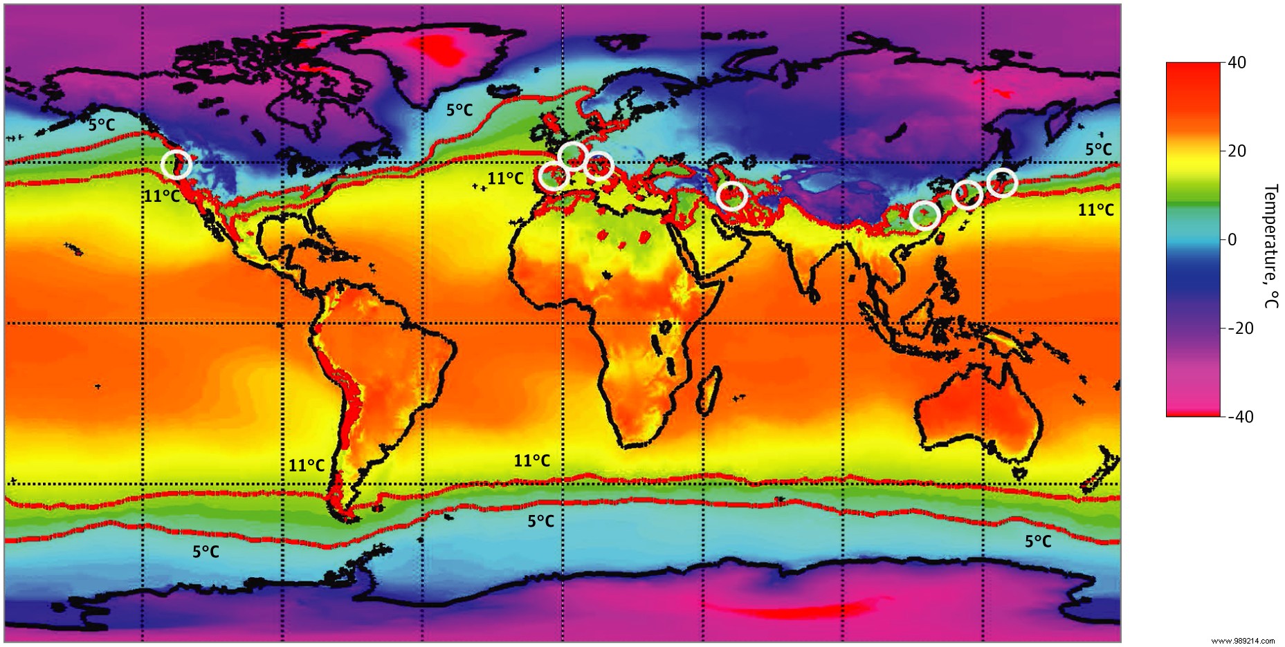 According to a new study, Covid-19 is seasonal 