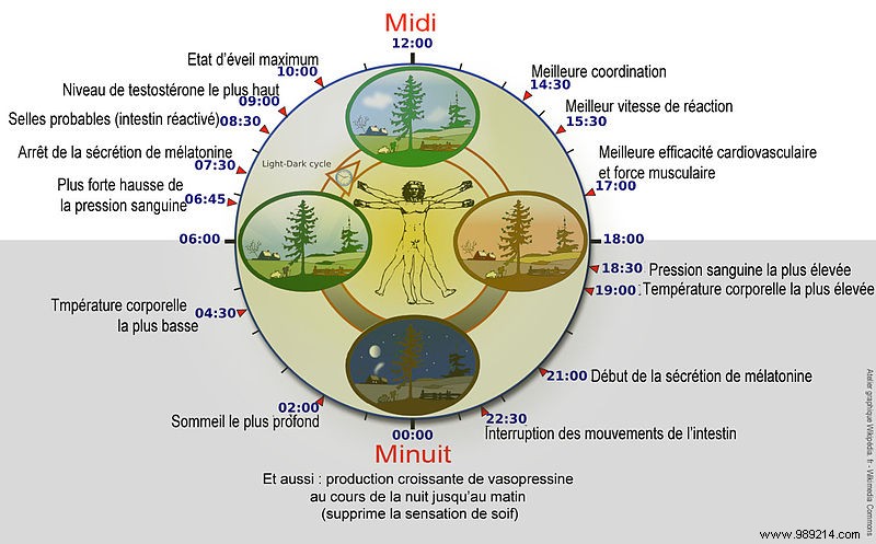 This incredible experiment proved the existence of the circadian clock in humans 