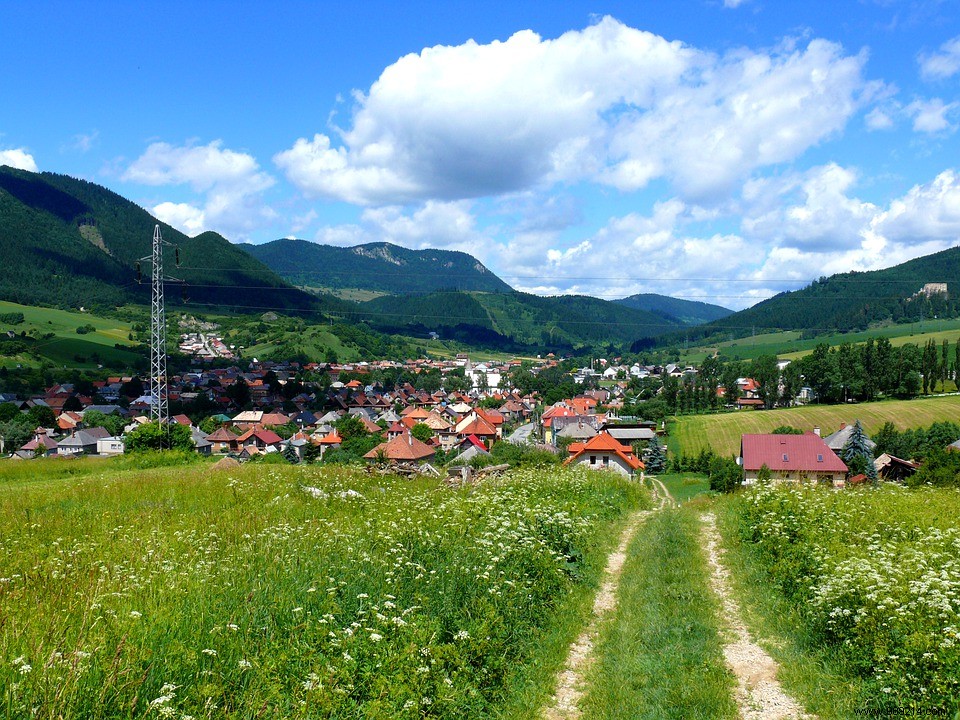 Should we rather live in the city or in the countryside for a better life expectancy? 