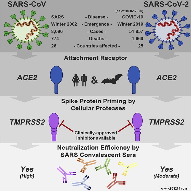 Covid-19: cheating  the virus, a solution to treat patients? 