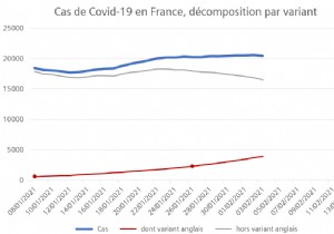 Covid-19:A graph shows why coronavirus variants are a concern 