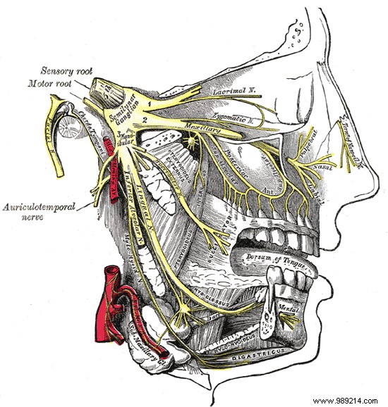 Rare disease:cluster headache, a real hell for patients 