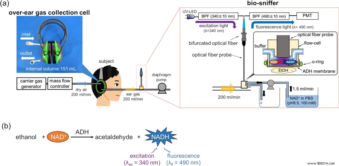 Noise-canceling headphones modified to measure blood alcohol levels 