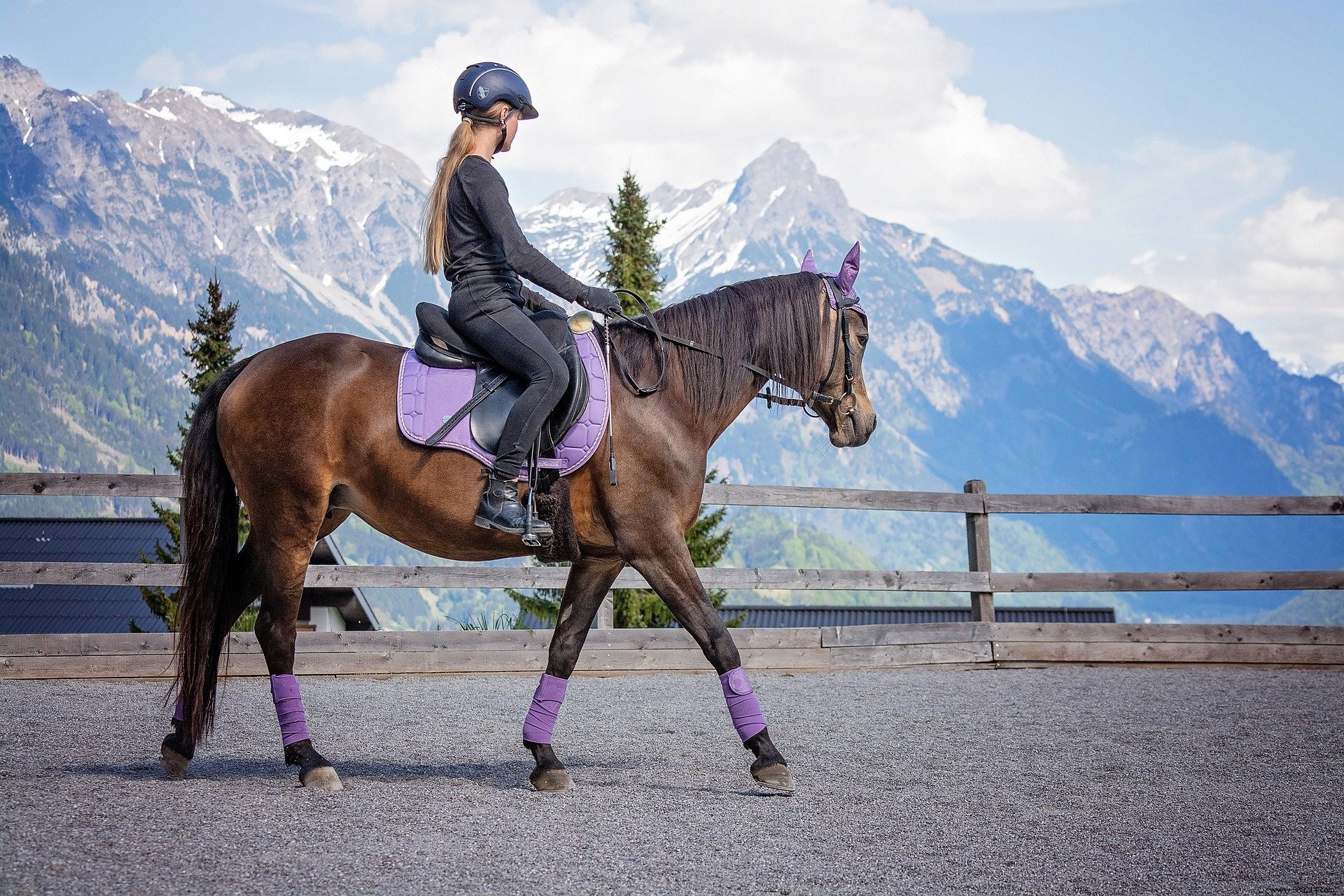 Horseback riding more dangerous than skiing, according to this American study 