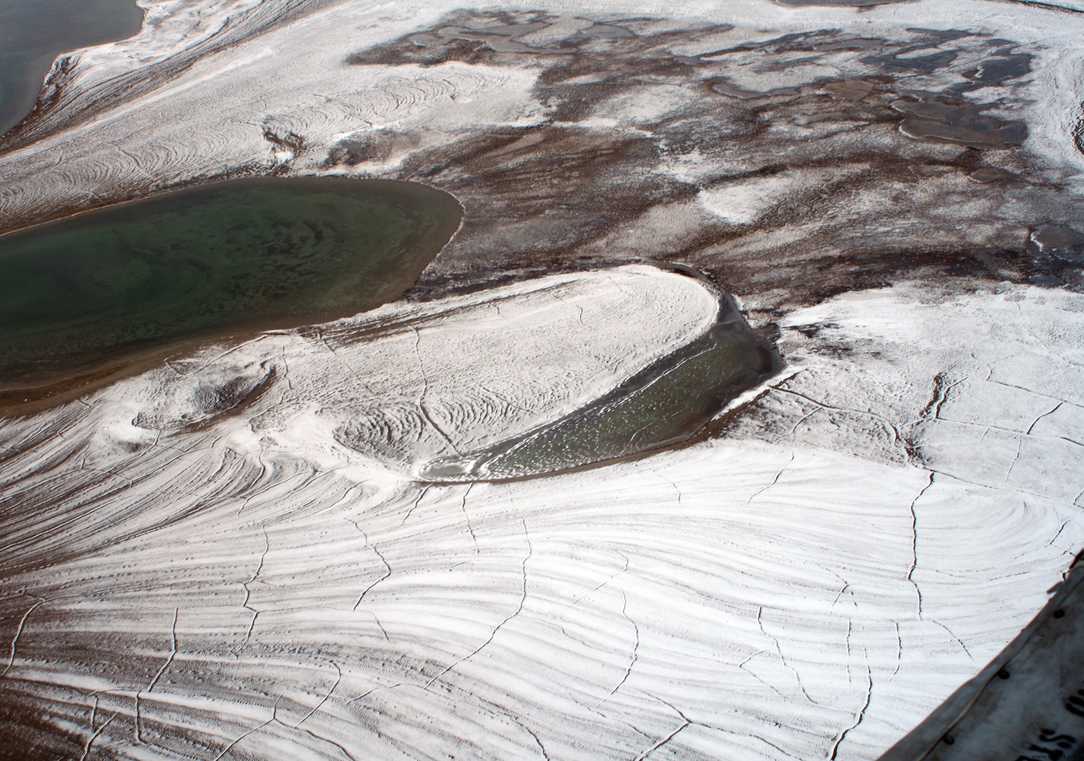 Melting of Antarctica:should we fear a release of pathogenic viruses? 