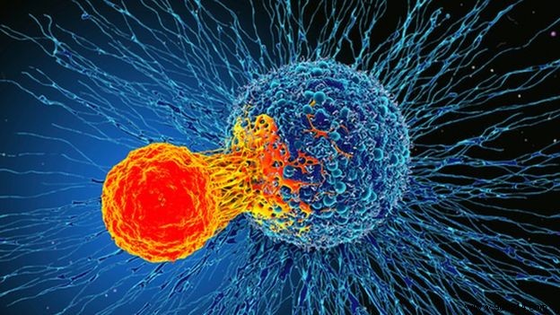 Human receives first shot of  cancer killer  virus 