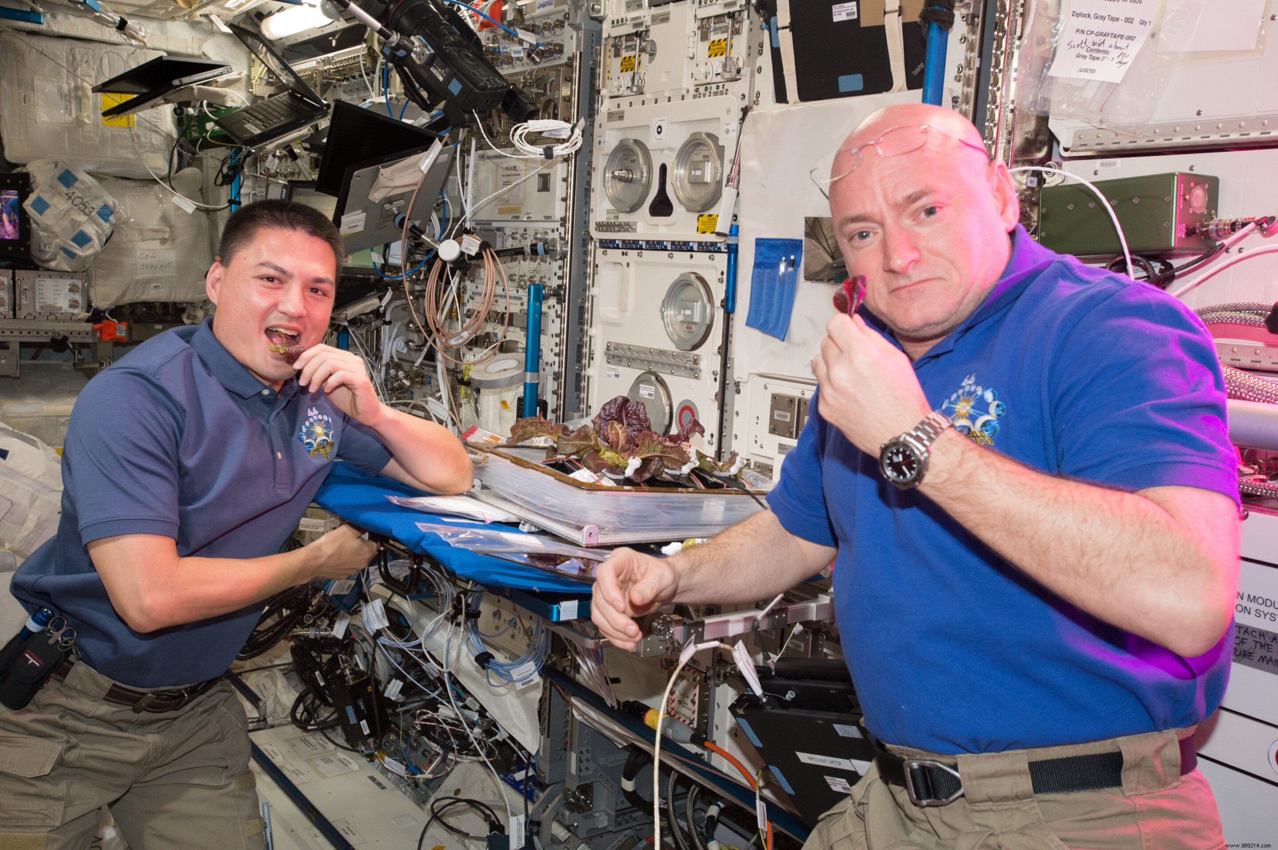 Who wants to taste the first  space radishes ? 