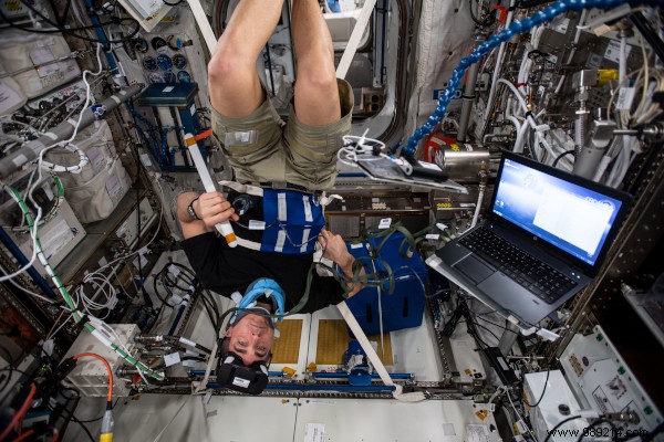 Looking back on a busy year of research on board the ISS 