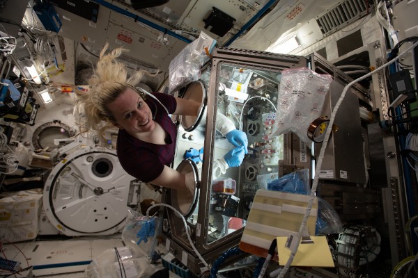 Looking back on a busy year of research on board the ISS 