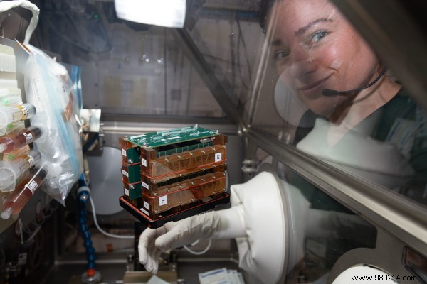 Looking back on a busy year of research on board the ISS 