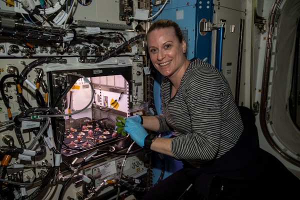 Looking back on a busy year of research on board the ISS 