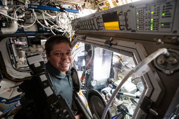 Looking back on a busy year of research on board the ISS 