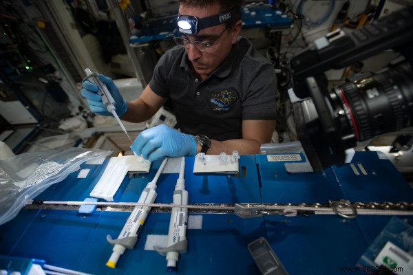 Looking back on a busy year of research on board the ISS 