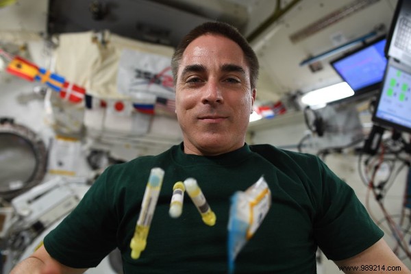 Looking back on a busy year of research on board the ISS 