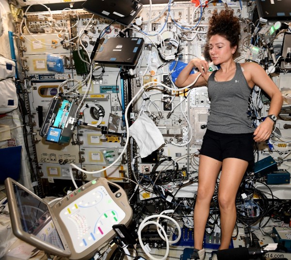 Looking back on a busy year of research on board the ISS 