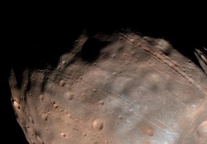 Martian moons Phobos and Deimos have a common ancestor 