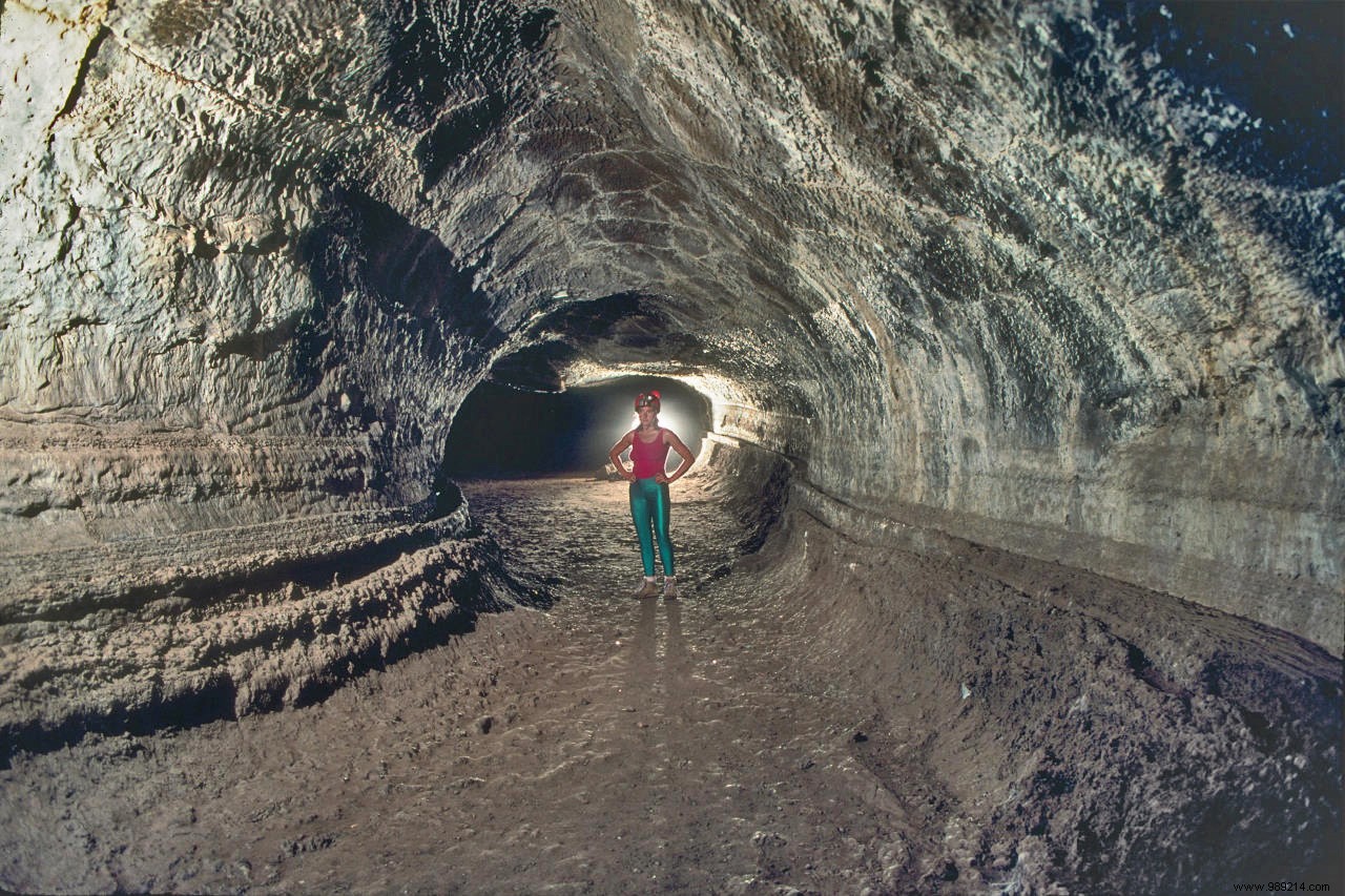 Researchers Propose Building a  Lunar Ark  to Save Millions of Species 