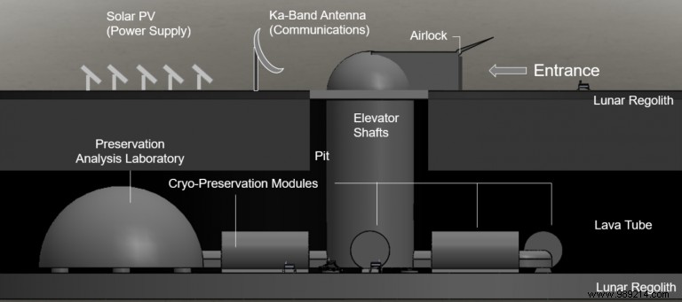 Researchers Propose Building a  Lunar Ark  to Save Millions of Species 