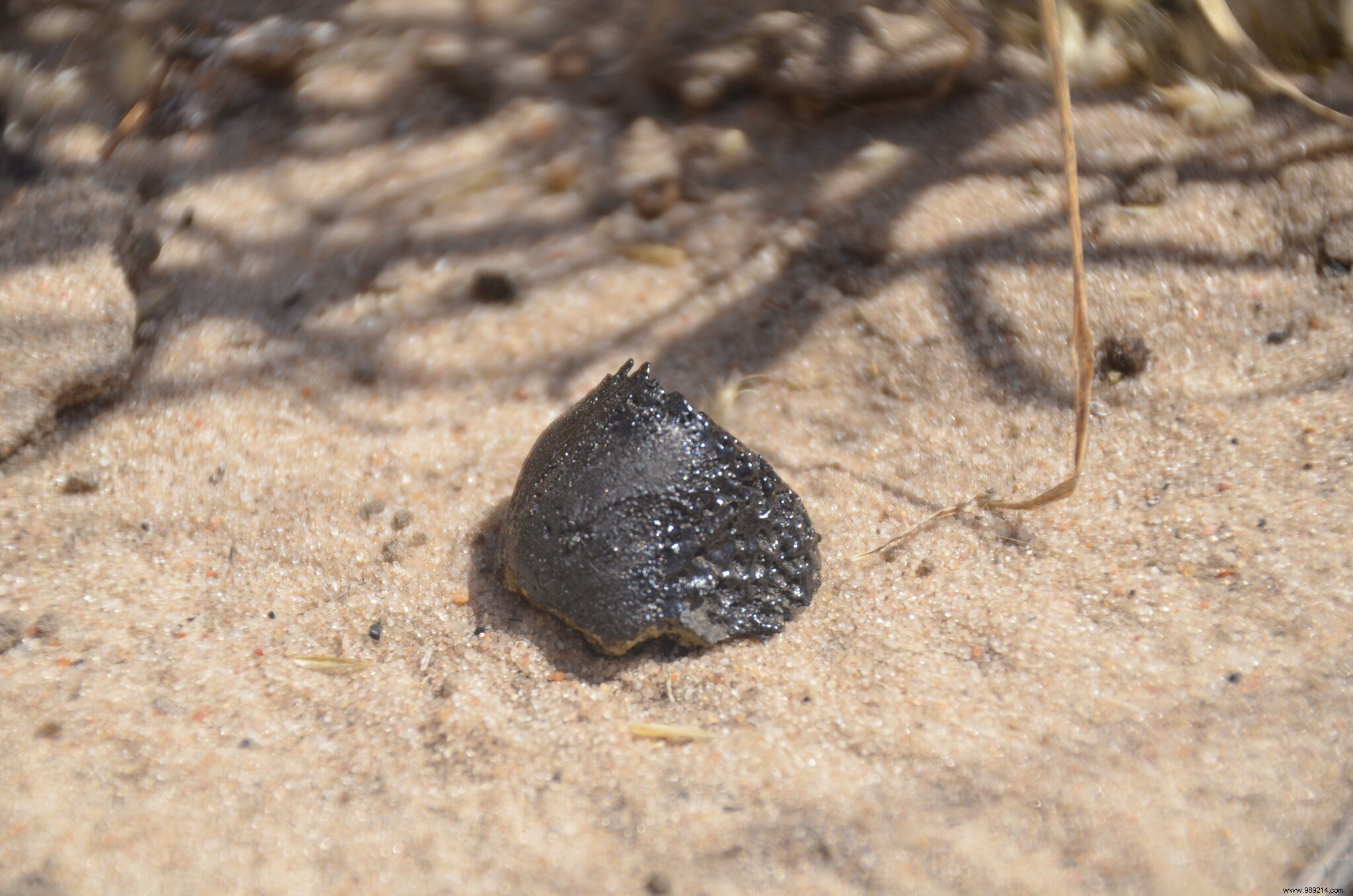 From the asteroid belt to Botswana, a journey of 22 million years 