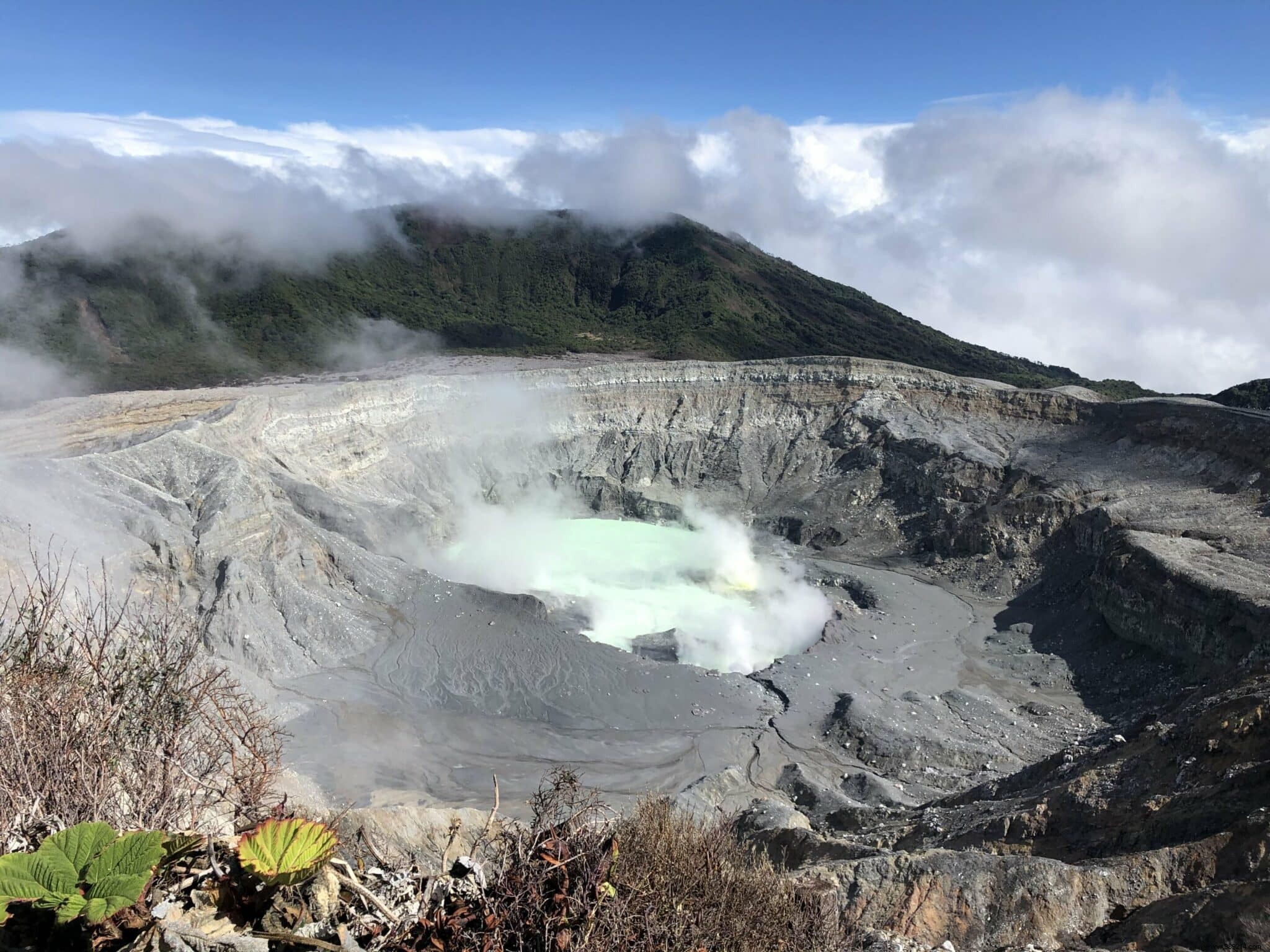 Bacteria in this lake suggest life could have existed on Mars 