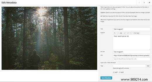 How to switch from NextGEN to Envira Gallery in WordPress