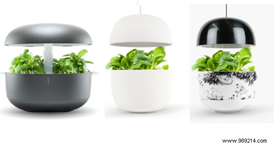 Never kill a plant again 7 gadgets to become a gardening pro