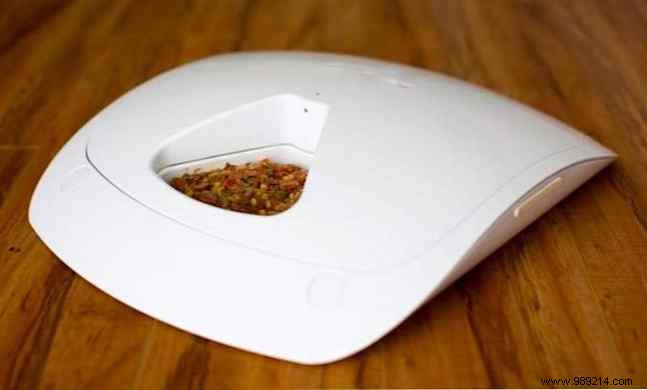 Best Automatic Pet Feeders