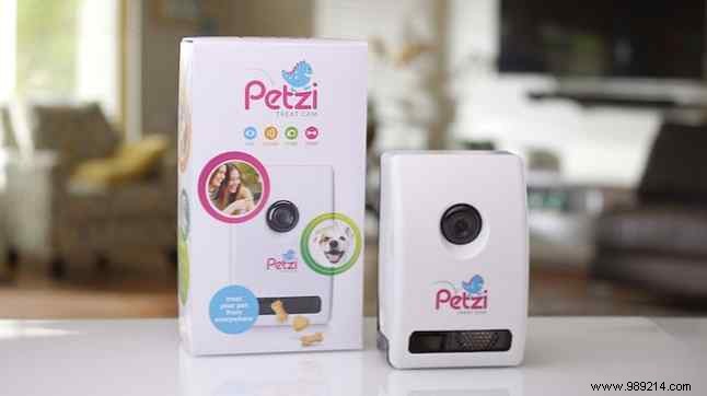 Best Automatic Pet Feeders