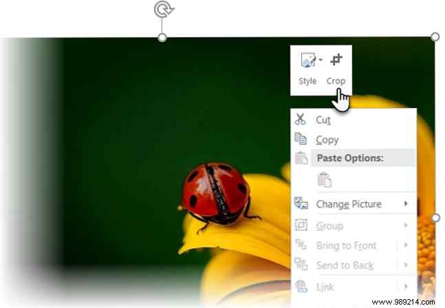 3 ways to crop a picture using Microsoft PowerPoint