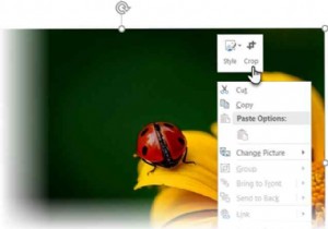 3 ways to crop a picture using Microsoft PowerPoint