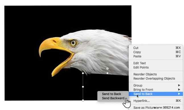 How to make images transparent in PowerPoint