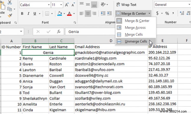 How to merge and unmerge cells in Excel Tips and tricks to know