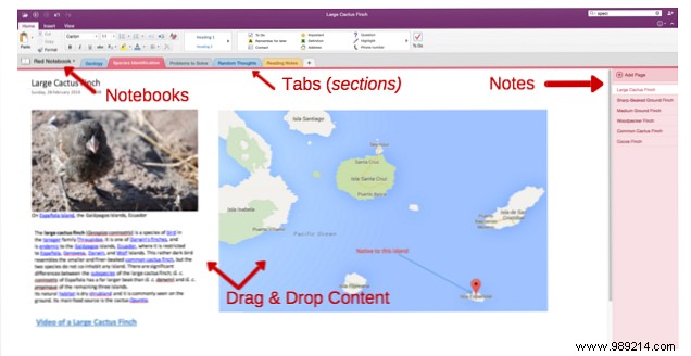 How to Use OneNote Like a World-Famous Scientist