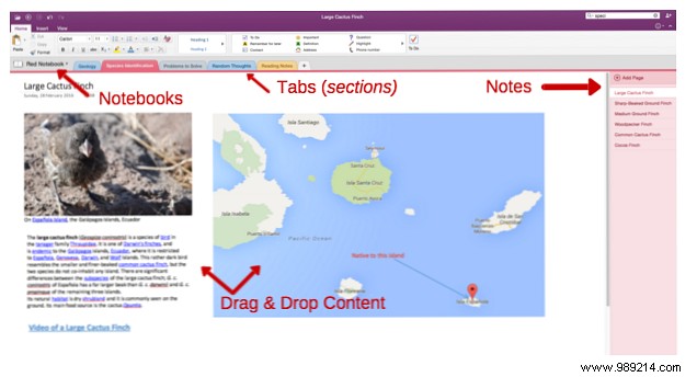 The best Evernote alternative is OneNote and it s free