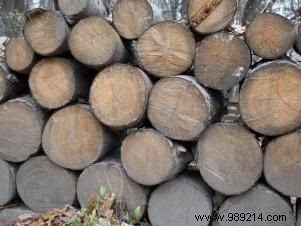 How to Build Rustic Deer Lawn Ornaments Using Cut Logs