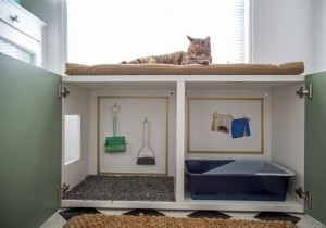 How to hide a kitty litter box inside a cabinet