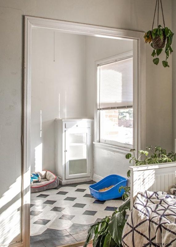 How to hide a kitty litter box inside a cabinet